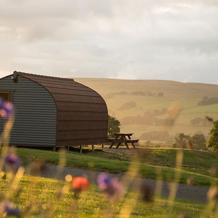 Villa Wild Northumberland Glamping à Hexham Extérieur photo